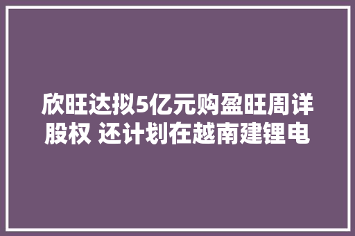 欣旺达拟5亿元购盈旺周详股权 还计划在越南建锂电池项目 欣旺达拟5亿元购盈旺周详股权 还计划在越南建锂电池项目 智能科技