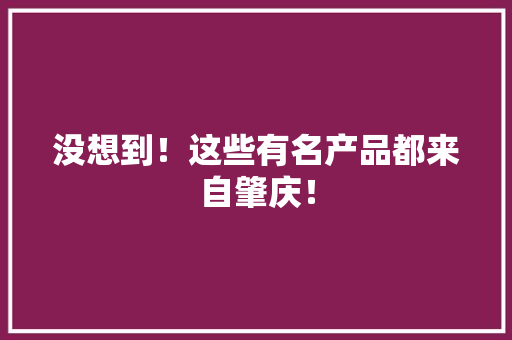 没想到！这些有名产品都来自肇庆！