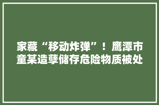 家藏“移动炸弹”！鹰潭市童某造孽储存危险物质被处罚
