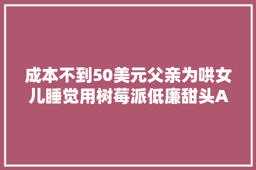 成本不到50美元父亲为哄女儿睡觉用树莓派低廉甜头AI睡前故事机