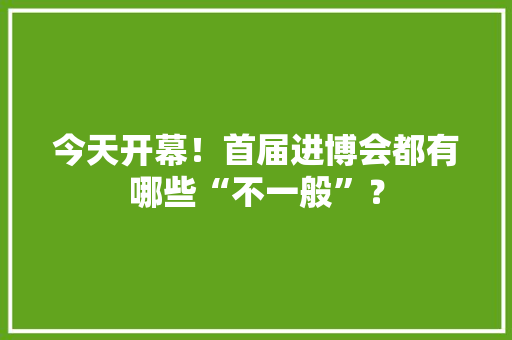 今天开幕！首届进博会都有哪些“不一般”？