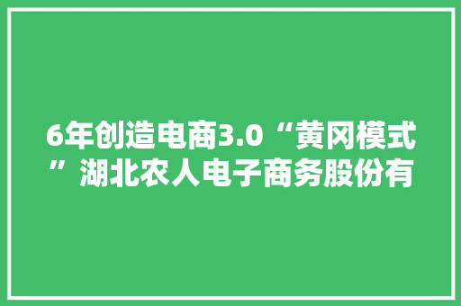 6年创造电商3.0“黄冈模式”湖北农人电子商务股份有限公司成长略记