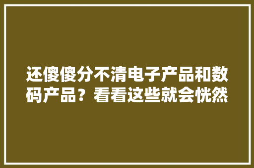 还傻傻分不清电子产品和数码产品？看看这些就会恍然大年夜悟