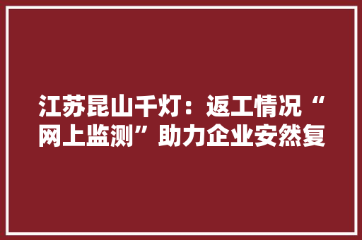 江苏昆山千灯：返工情况“网上监测”助力企业安然复工