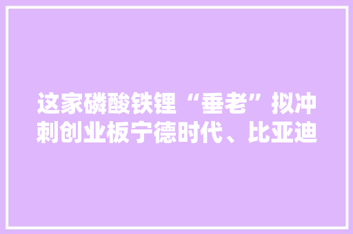 这家磷酸铁锂“垂老”拟冲刺创业板宁德时代、比亚迪已上了股东名单