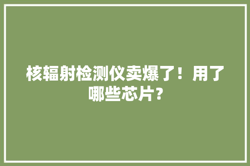 核辐射检测仪卖爆了！用了哪些芯片？ 核辐射检测仪卖爆了！用了哪些芯片？ 智能科技