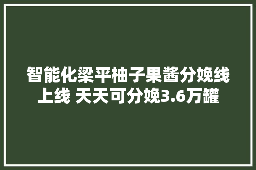 智能化梁平柚子果酱分娩线上线 天天可分娩3.6万罐