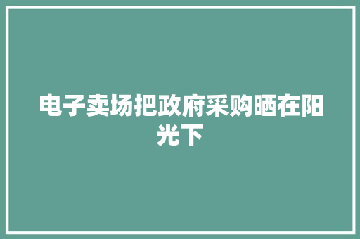 电子卖场把政府采购晒在阳光下