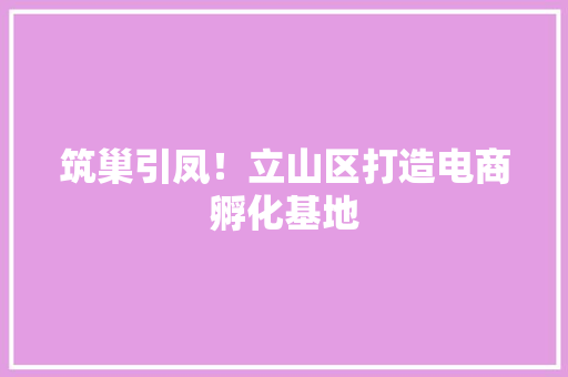 筑巢引凤！立山区打造电商孵化基地 筑巢引凤！立山区打造电商孵化基地 智能家居