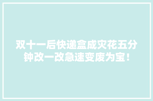 双十一后快递盒成灾花五分钟改一改急速变废为宝！