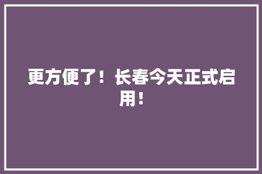 更方便了!长春今天正式启用! 智能科技 更方便了!长春今天正式启用! 更方便了!长春今天正式启用! 智能科技