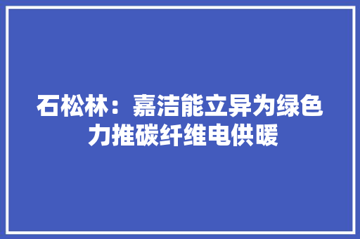 石松林：嘉洁能立异为绿色 力推碳纤维电供暖