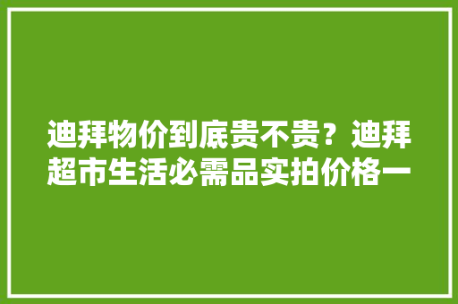 迪拜物价到底贵不贵？迪拜超市生活必需品实拍价格一览（2019版）