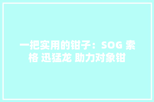 一把实用的钳子：SOG 索格 迅猛龙 助力对象钳