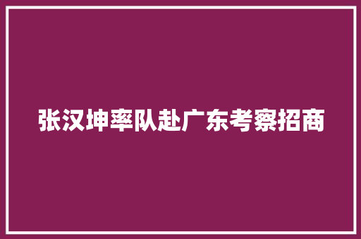 张汉坤率队赴广东考察招商