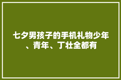 七夕男孩子的手机礼物少年、青年、丁壮全都有