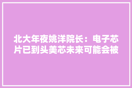 北大年夜姚洋院长：电子芯片已到头美芯未来可能会被淘汰
