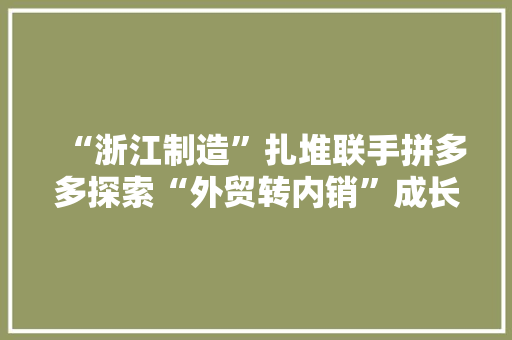“浙江制造”扎堆联手拼多多探索“外贸转内销”成长自立新品牌