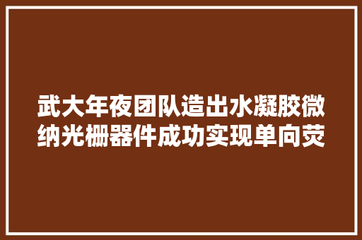 武大年夜团队造出水凝胶微纳光栅器件成功实现单向荧光辐射操控