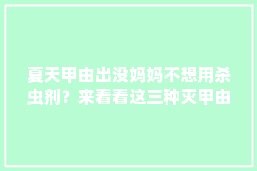 夏天甲由出没妈妈不想用杀虫剂？来看看这三种灭甲由神器