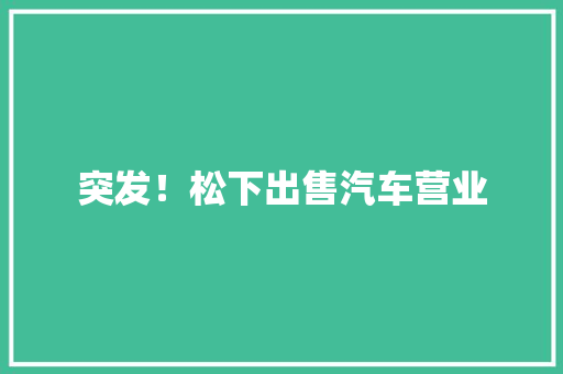 突发！松下出售汽车营业