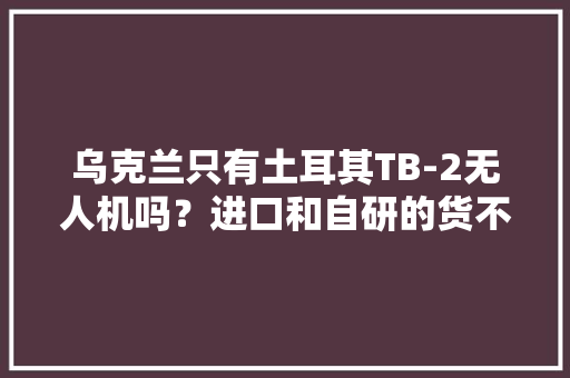 乌克兰只有土耳其TB-2无人机吗？进口和自研的货不算少