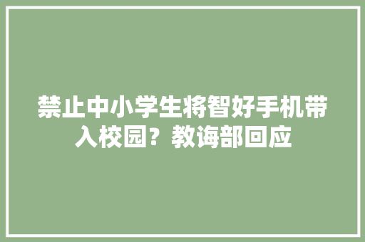 禁止中小学生将智好手机带入校园？教诲部回应