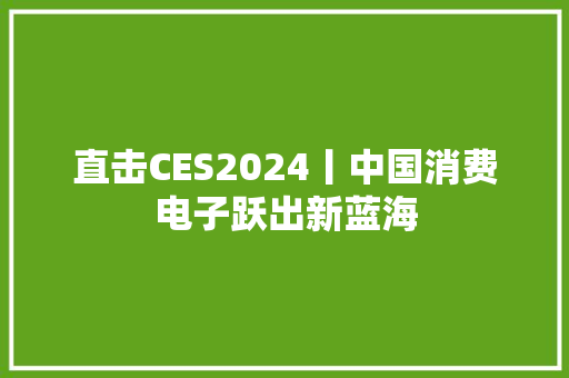 直击CES2024丨中国消费电子跃出新蓝海
