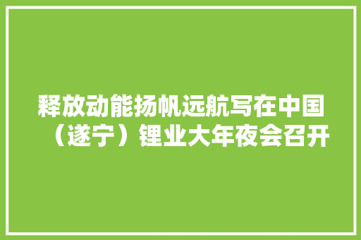 释放动能扬帆远航写在中国（遂宁）锂业大年夜会召开之际相关新闻