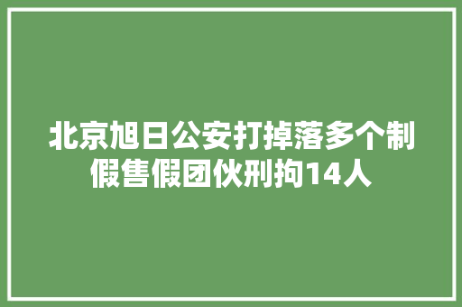 北京旭日公安打掉落多个制假售假团伙刑拘14人 北京旭日公安打掉落多个制假售假团伙刑拘14人 智能家居