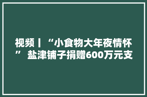 视频丨“小食物大年夜情怀” 盐津铺子捐赠600万元支援河北、吉林抗洪救灾