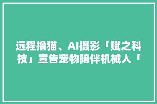 远程撸猫、AI摄影「赋之科技」宣告宠物陪伴机械人「Ebo Pro」