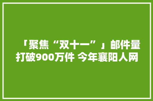 「聚焦“双十一”」邮件量打破900万件 今年襄阳人网购的商品有哪些呢？