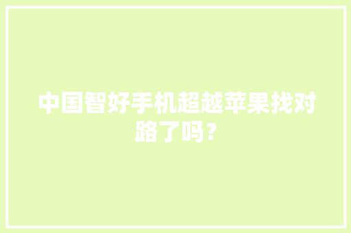 中国智好手机超越苹果找对路了吗？