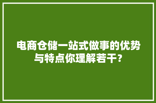 电商仓储一站式做事的优势与特点你理解若干？