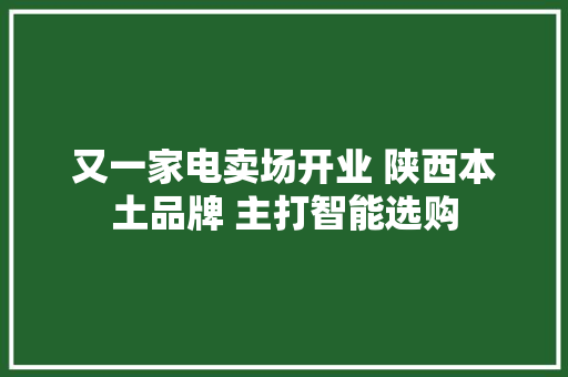 又一家电卖场开业 陕西本土品牌 主打智能选购