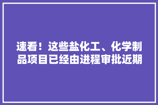 速看！这些盐化工、化学制品项目已经由进程审批近期即将开工