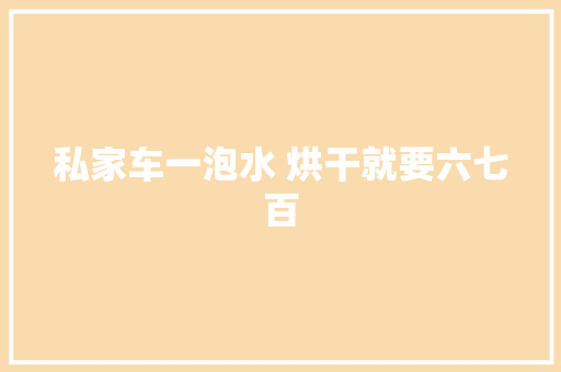 私家车一泡水 烘干就要六七百 私家车一泡水 烘干就要六七百 智能科技