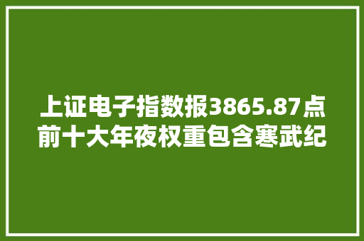 上证电子指数报3865.87点前十大年夜权重包含寒武纪等