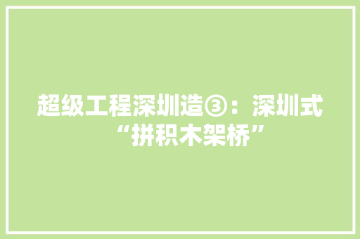 超级工程深圳造③：深圳式“拼积木架桥”