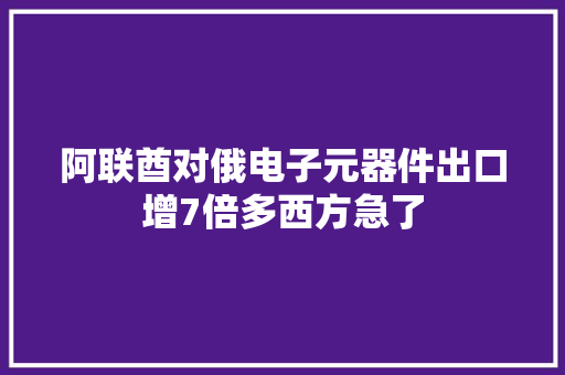 阿联酋对俄电子元器件出口增7倍多西方急了