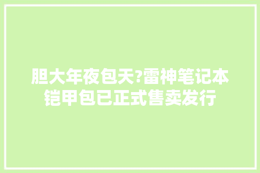 胆大年夜包天?雷神笔记本铠甲包已正式售卖发行