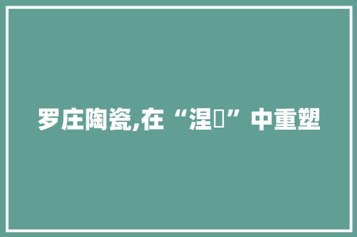 罗庄陶瓷,在“涅槃”中重塑