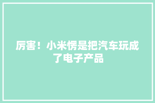 厉害！小米愣是把汽车玩成了电子产品