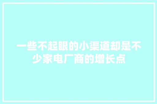 一些不起眼的小渠道却是不少家电厂商的增长点