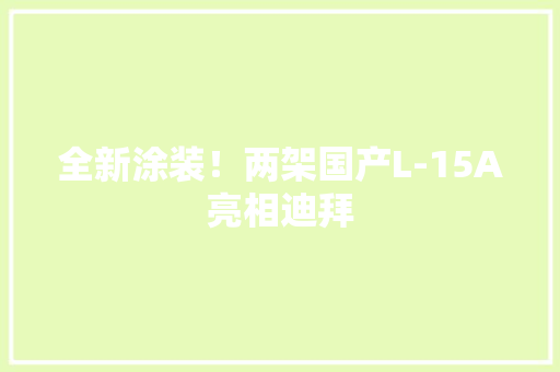 全新涂装！两架国产L-15A亮相迪拜