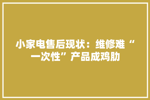 小家电售后现状：维修难“一次性”产品成鸡肋 小家电售后现状：维修难“一次性”产品成鸡肋 智能家居