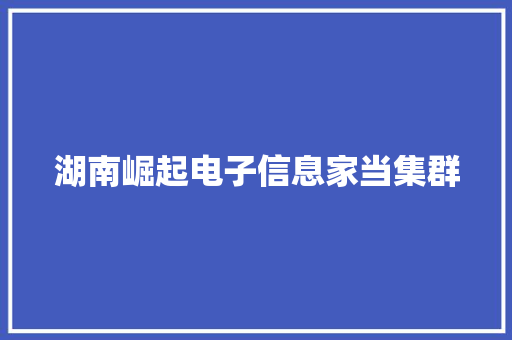 湖南崛起电子信息家当集群 湖南崛起电子信息家当集群 智能家居