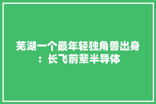 芜湖一个最年轻独角兽出身：长飞前辈半导体