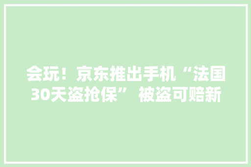 会玩！京东推出手机“法国30天盗抢保” 被盗可赔新机 会玩！京东推出手机“法国30天盗抢保” 被盗可赔新机 人工智能